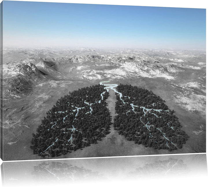 Lunge der Natur aus Bäumen schwarz/weiss Format: 100x70 auf Leinwand, XXL riesige Bilder fertig gera