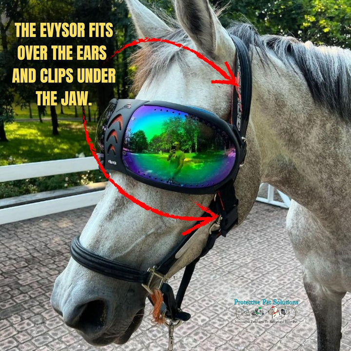 EQUICK Brille Pferd eVysor