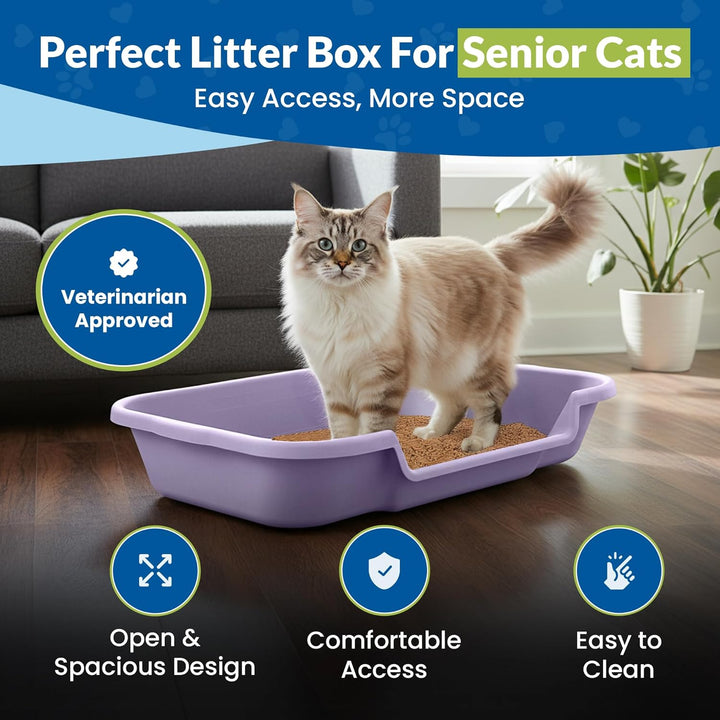 KittyGoHere Senior-Katzentoilette, niedriger Einstieg, komfortable Grösse, ideal für ältere und arth