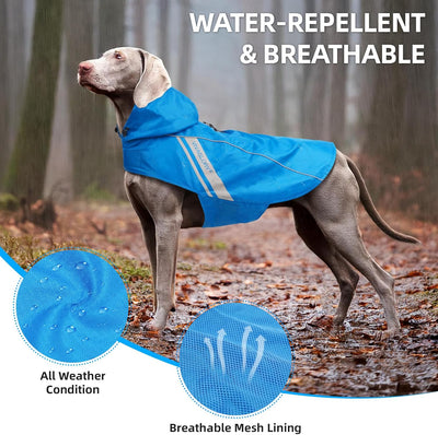 VIVAGLORY Hunderegenmantel für kleine Hunde, einfach an- und ausziehbare Regenbekleidung, reflektier