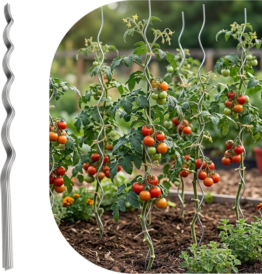 Relaxdays Tomaten Spiralstab, 20er Set, Höhe: 150 cm, Ø 5 mm, verzinktes Metall, Tomatenstäbe, Tomat