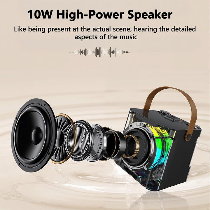 Karaoke Maschine mit 2 Mikrofonen, Tragbare Bluetooth Lautsprecher Box für Erwachsene und Kinder, Ka