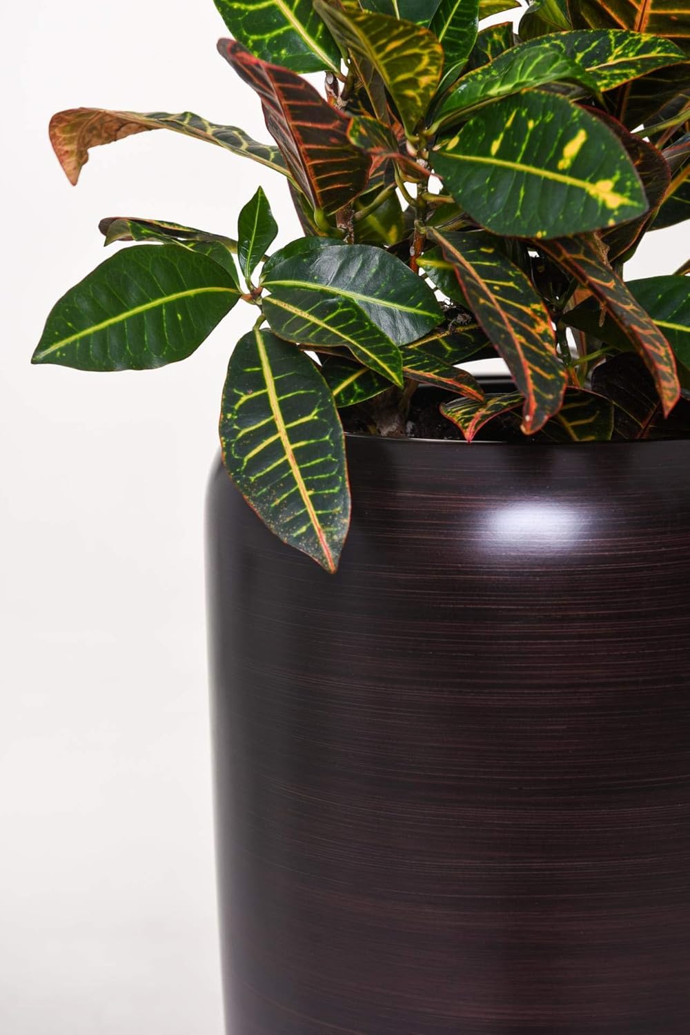 VIVANNO Pflanzkübel Pflanzgefäss Bodenvase exklusiv CAVITA Schwarz Braun Seidenmatt (97x34) Schwarz