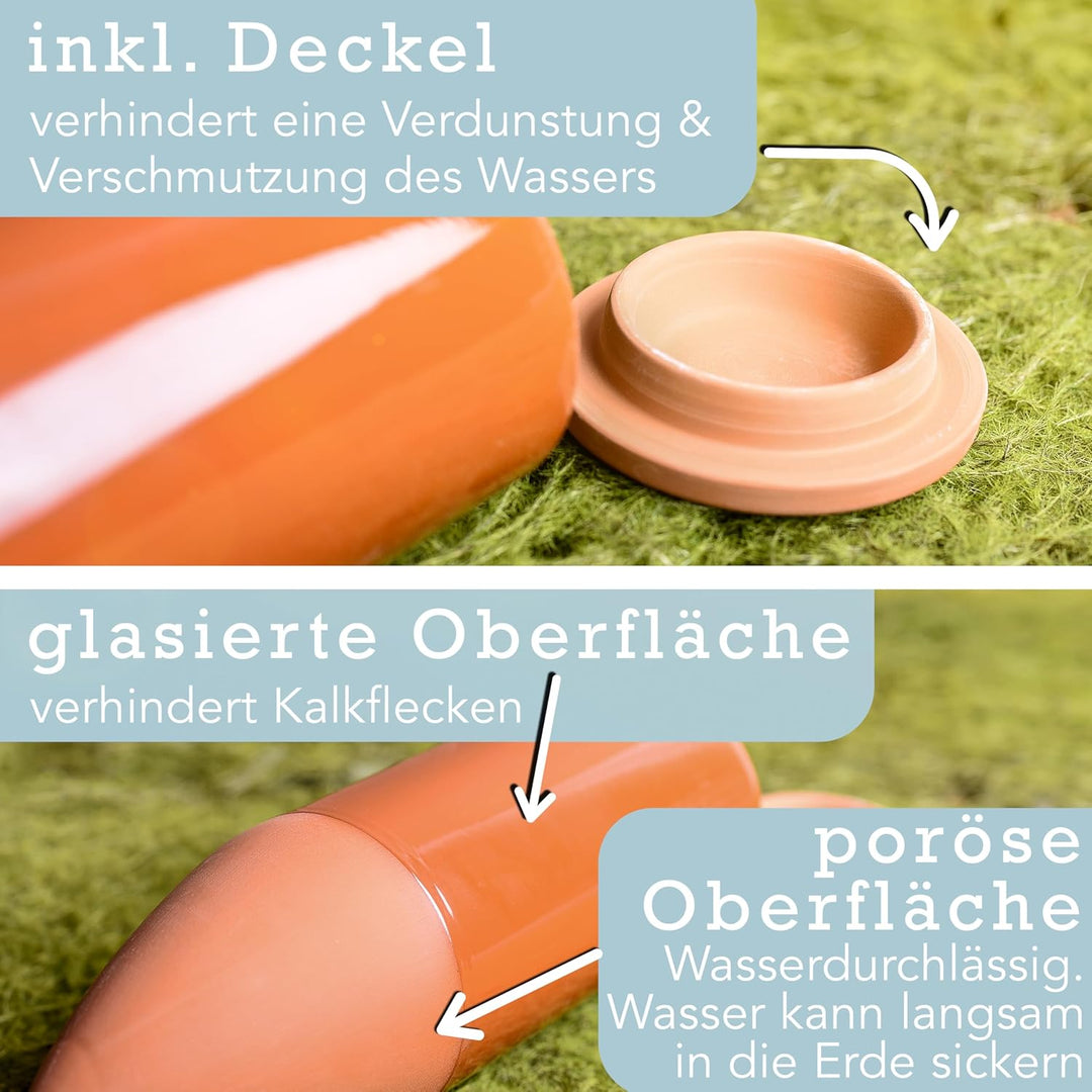 Terracotta Giesshilfe (3X 330 ml) handgefertigt für Bewässerung Zimmerpflanzen | Wasserstandsanzeige