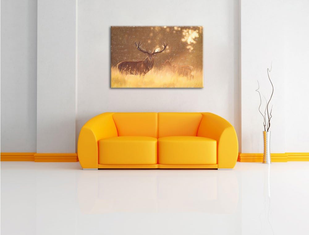 Pixxprint Rotwild im goldenen Morgenlicht als Leinwandbild | Grösse: 100x70 cm | Wandbild | Kunstdru