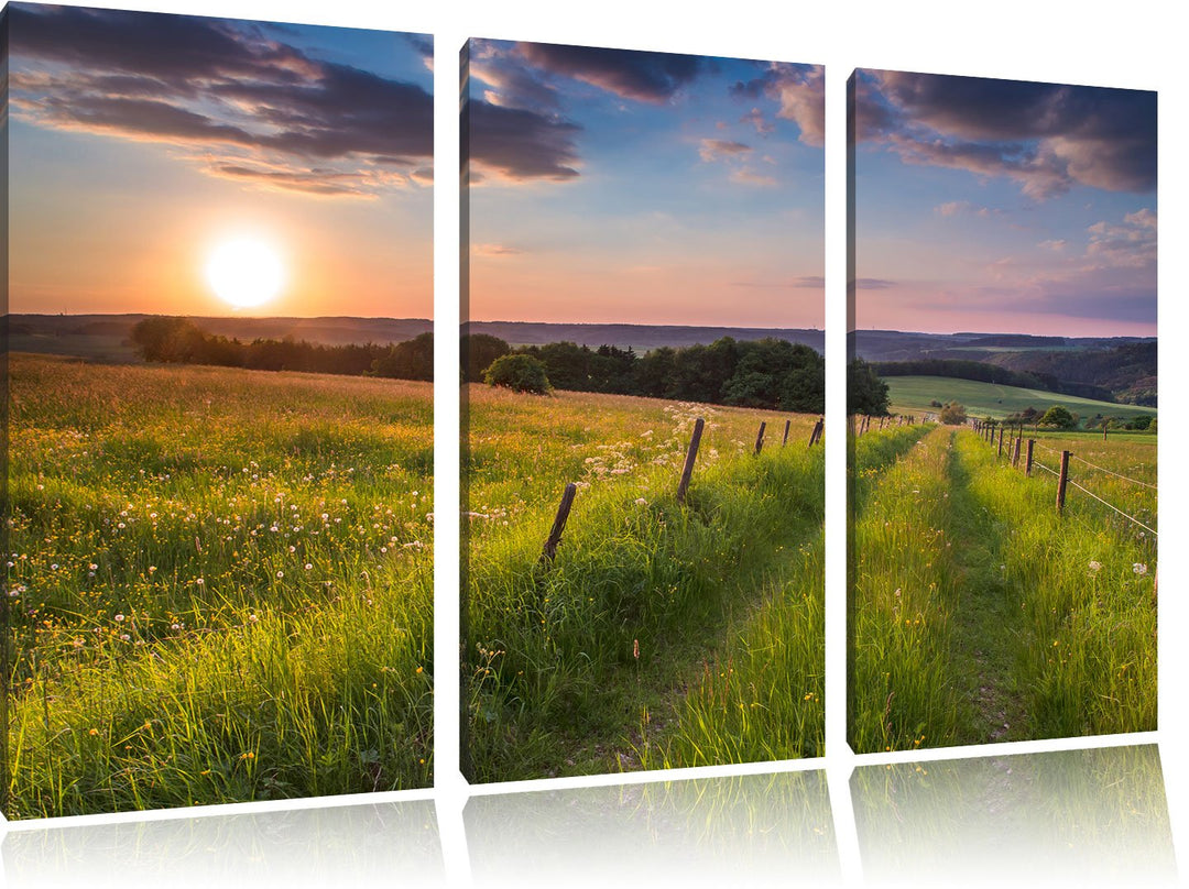 Pixxprint Bergwiese im Sonnenaufgang als Leinwandbild/Grösse: 3 Teilig (120x80) cm/Wandbild/Kunstdru