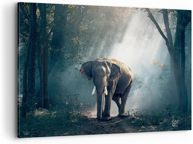 Bilder auf Leinwand 100x70cm Leinwandbild mit Rahmen elefant natur Gross Wanddeko Bild Schlafzimmer