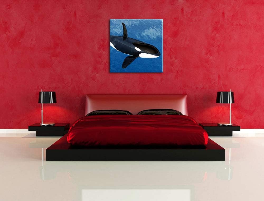 Orca im blauen Meer, Format: 70x70 auf Leinwand, XXL riesige Bilder fertig gerahmt mit Keilrahmen, K
