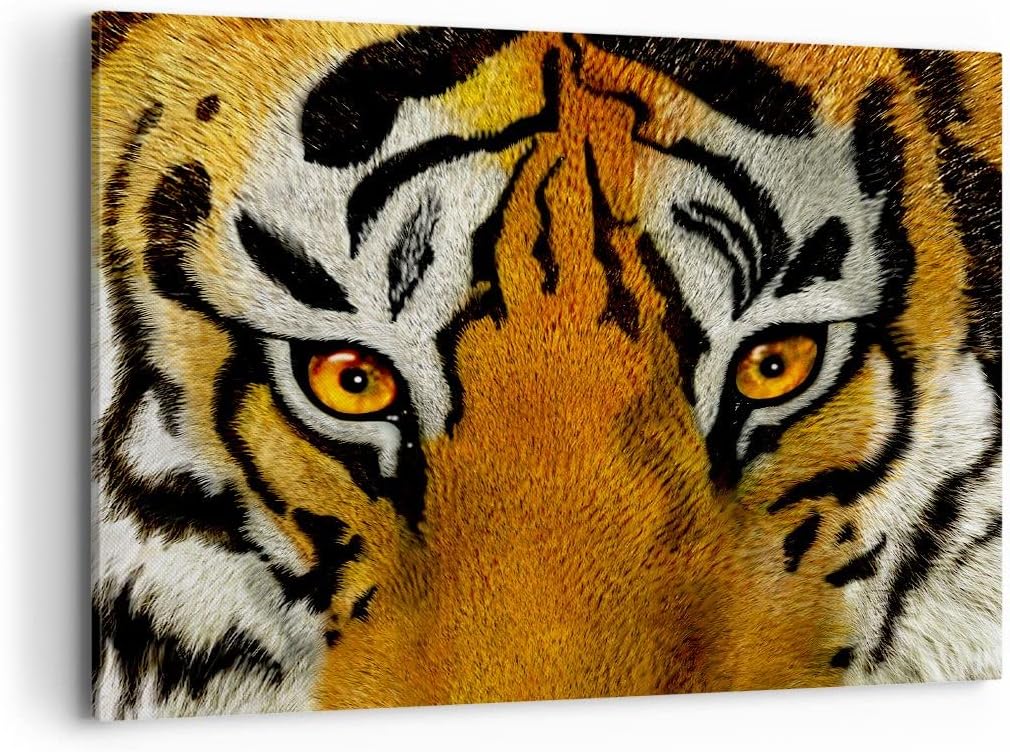 Bilder auf Leinwand 100x70cm Leinwandbild Tiger Tiere Natur Safari Gross Wanddeko Bild Schlafzimmer
