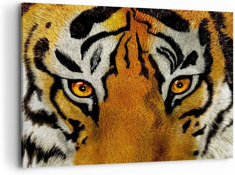 Bilder auf Leinwand 100x70cm Leinwandbild Tiger Tiere Natur Safari Gross Wanddeko Bild Schlafzimmer