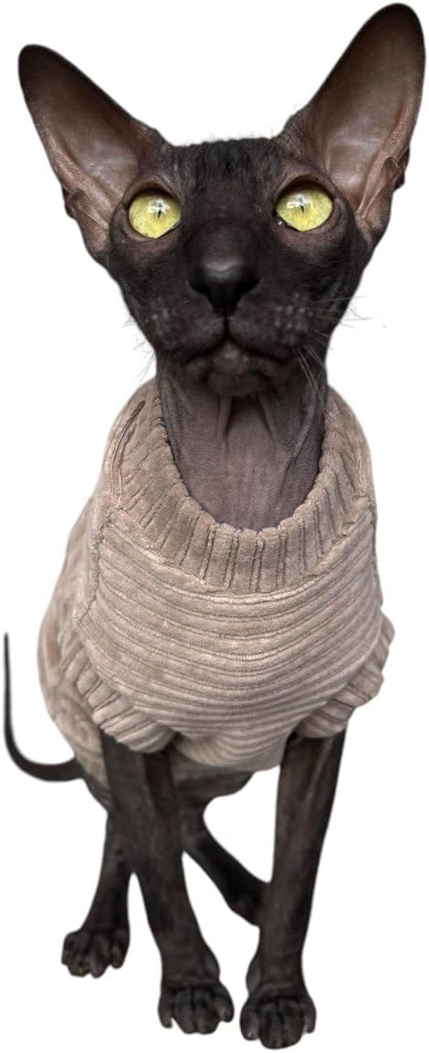 Kotomoda Katzen-T-Shirt aus Cord fьr Sphynx und nackte Katzen (Medium, Taupe) mittel taupe, mittel t