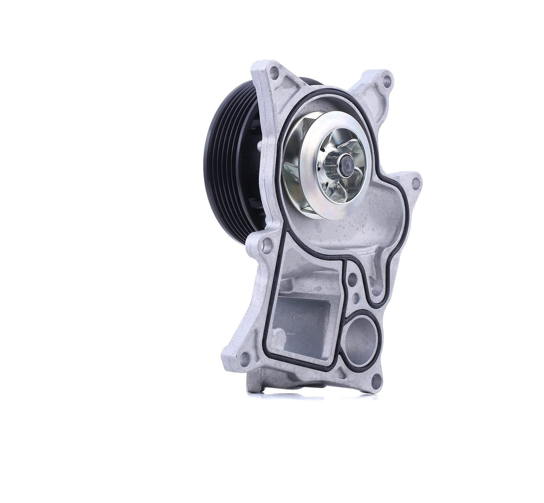 febi bilstein 102491 Wasserpumpe mit Dichtring , 1 Stück