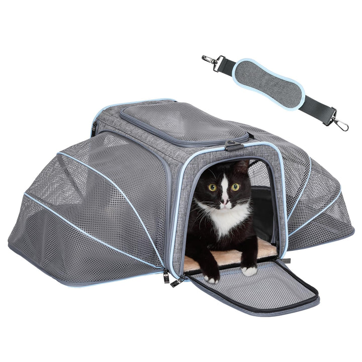 Petsfit Faltbarer Transporttasche Katze und Hund,erweiterbare Katzentransportbox mit Schultergurt Hu