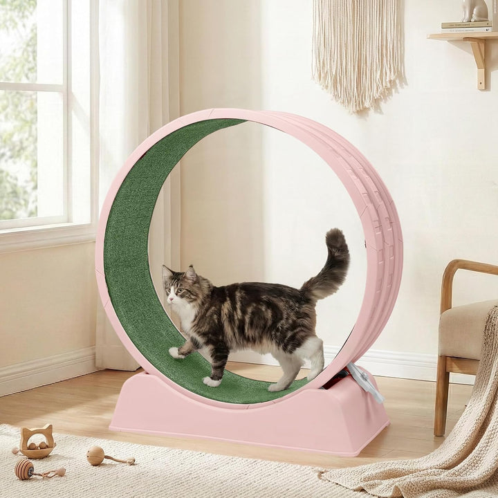 LEADZM Katzenlaufrad 80cm Durchmesser - Laufrad Katze aus Kunststoff, Inklusive Teppich und Katzensp