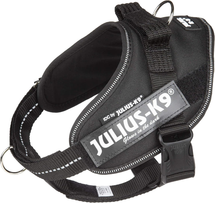 Julius-K9 16IDC-PBGHS-M IDC Powergeschirr, Hundegeschirr mit Front Control Y-Gurt, Grösse: S/Mini, S