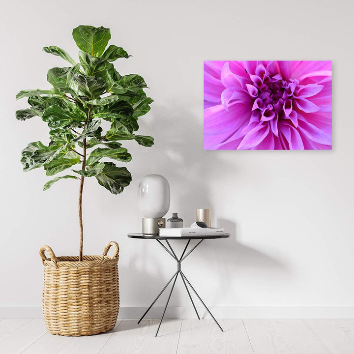 Feeby Bild auf Leinwand Blume Kunstdruck modern Natur Violett 80x60 cm Leinwandbild 80x60 cm Violett