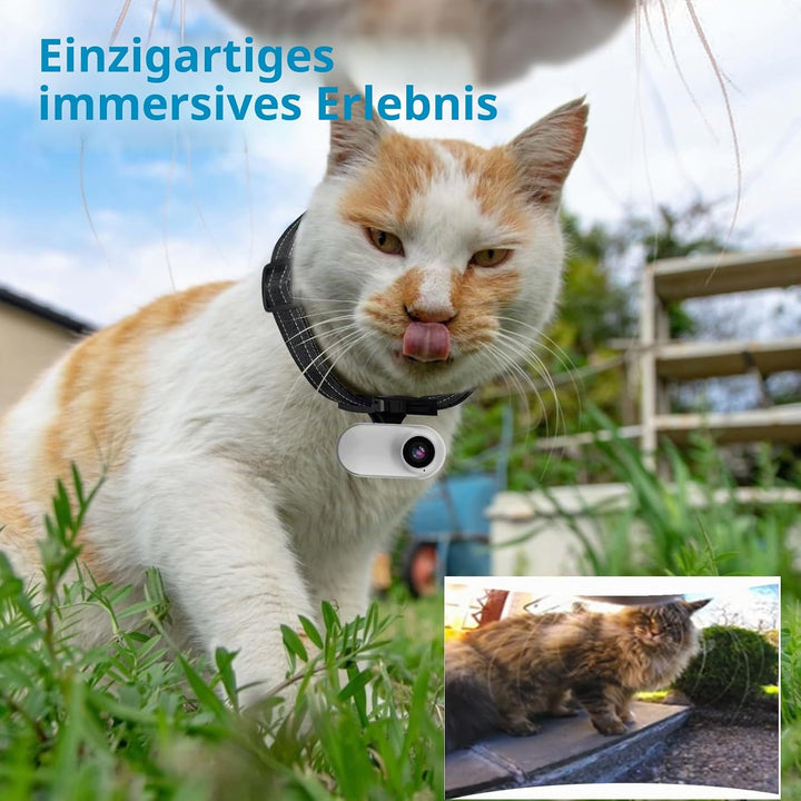 ehomful HD 1080P Katzen-Kamera-Halsband mit Videoaufzeichnung, kabellose Mini-Sportkamera, kleine Ac