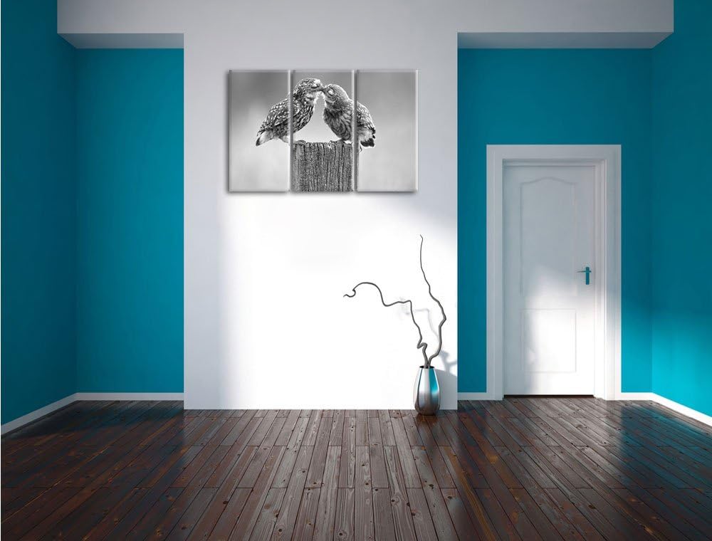 Pixxprint Küssende Eulen Kunst B&W als Leinwandbild/Grösse: 3 Teilig (120x80 cm) cm/Wandbild/Kunstdr