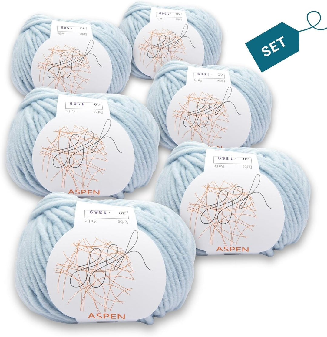 ggh Aspen Box - dicke Merinowolle Mischung - 6x50g Knäuel (insgesamt 300g) - zum Stricken oder Häkel