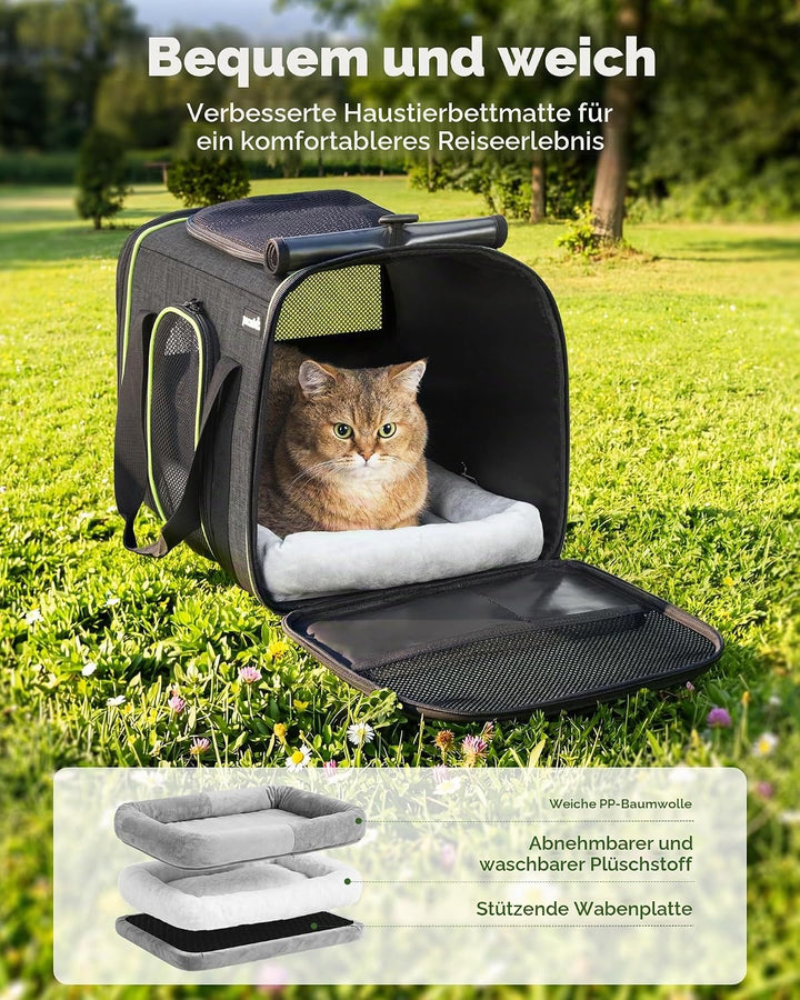 pecute Transportbox Katze,Katzen Transportboxen mit Haustiernest, Faltbare Katzentasche Transporttas