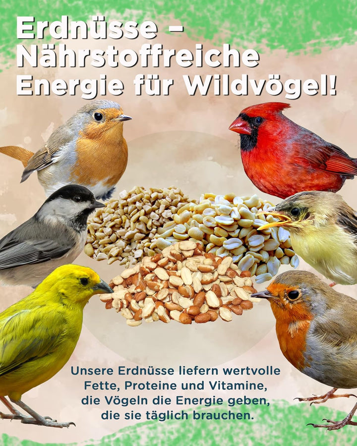 10 kg Erdnüsse gehackt Vogelfutter Wildvogelfutter Erdnusskerne gehackt von Futterbauer