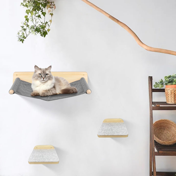 Kletterwand Katzen inkl,2X Katzentreppe Wand,Massivholz,Kratzbaum Wand,Hängematte Katze,Katzenwand,W