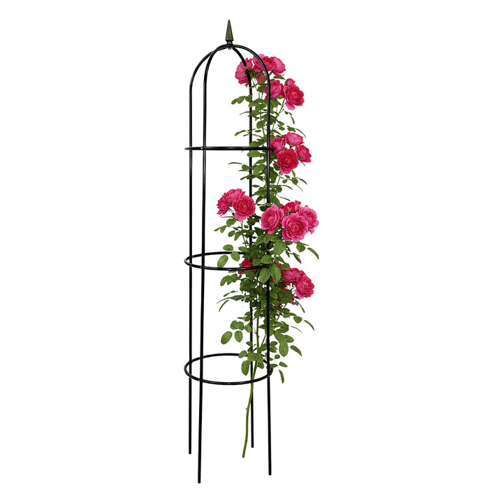 Metall Rankhilfe 200 x 40 cm - Rosensäule Rosenbogen Rankgitter Rank Obelisk Rosengestell Rankturm