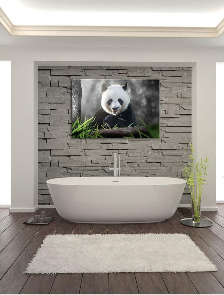 Pixxprint Niedlicher Panda isst Bambus / 100x70cm Leinwandbild bespannt auf Holzrahmen/Wandbild Kuns