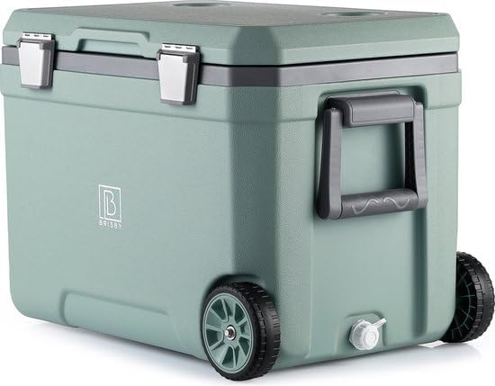 Brisby Kühlbox Camping - 45L, Kühlbox ohne Strom, inkl. 4 Dicke Kühlelemente, 3 Tage kühle Isolation