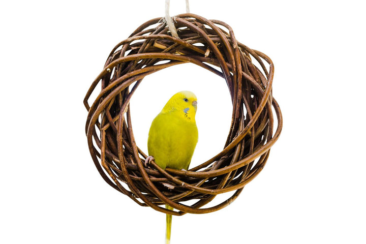 Vogelgaleria® Leckerer Weidenring zum Knabbern für Wellensittich, Nymphensittich & Co.; Weidengeflec