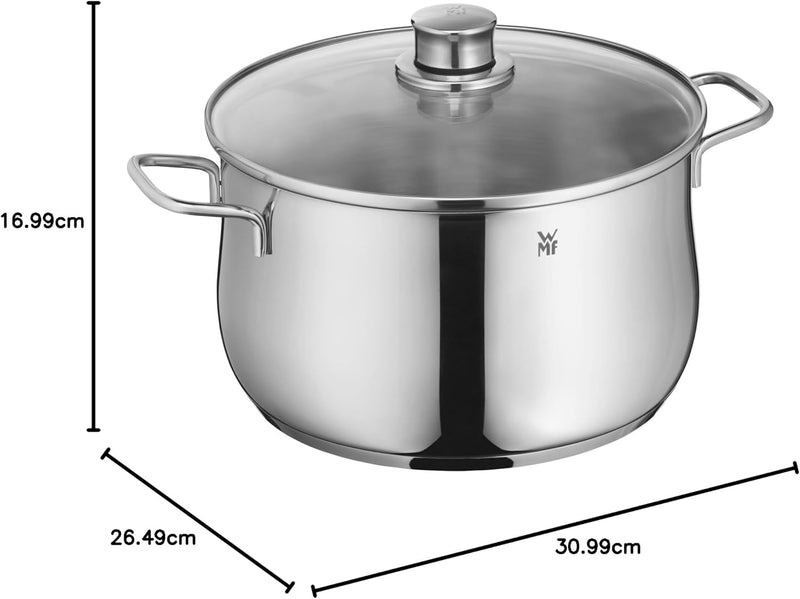 WMF Diadem Plus Kochtopf gross 24cm, Glasdeckel, Fleischtopf Induktion 6,5l, Cromargan Edelstahl pol