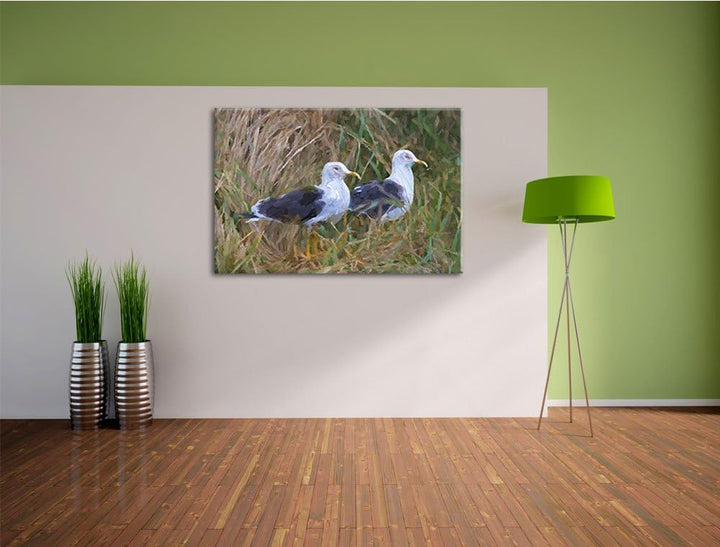 zwei Möwen im hohen Gras Spezial Format: 100x70 cm auf Leinwand, XXL riesige Bilder fertig gerahmt m