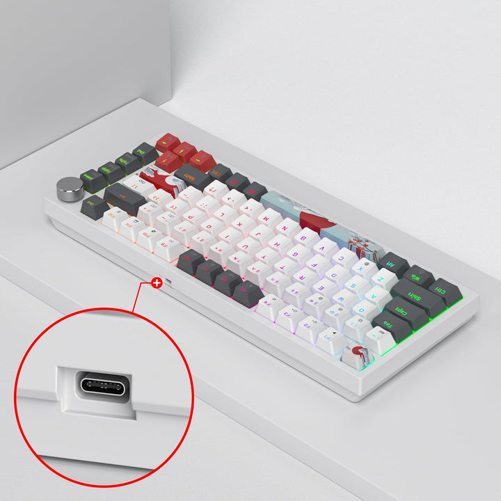 SOLIDEE 75% mechanische Gaming-Tastatur,hot-swap-fähige Tastatur mit rote Schalter,RGB-Hintergrundbe