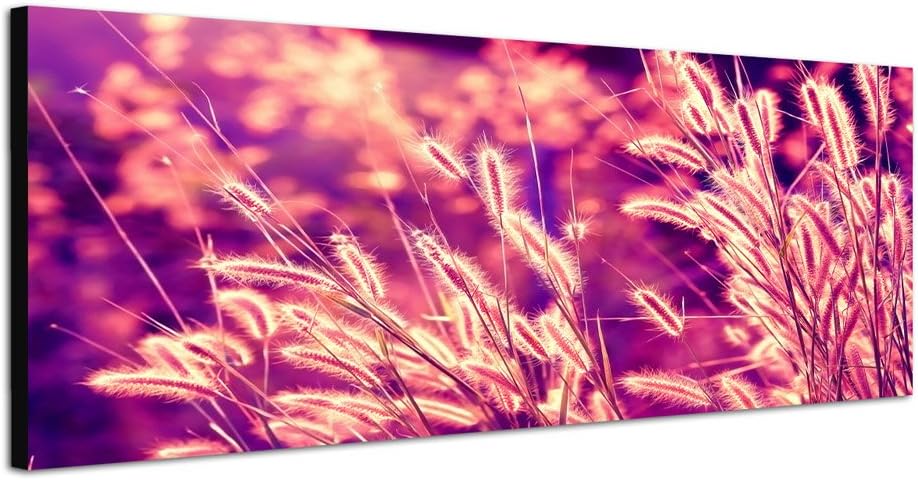 Paul Sinus Art Panoramabild auf Leinwand und Keilrahmen 150x50cm Kornähren Gräser Sonnenuntergang Vi