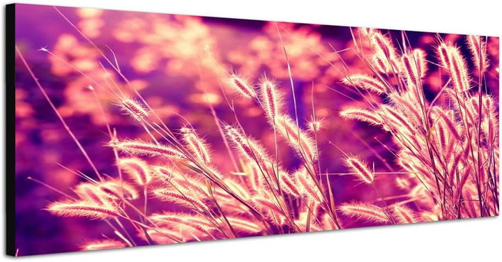 Paul Sinus Art Panoramabild auf Leinwand und Keilrahmen 150x50cm Kornähren Gräser Sonnenuntergang Vi