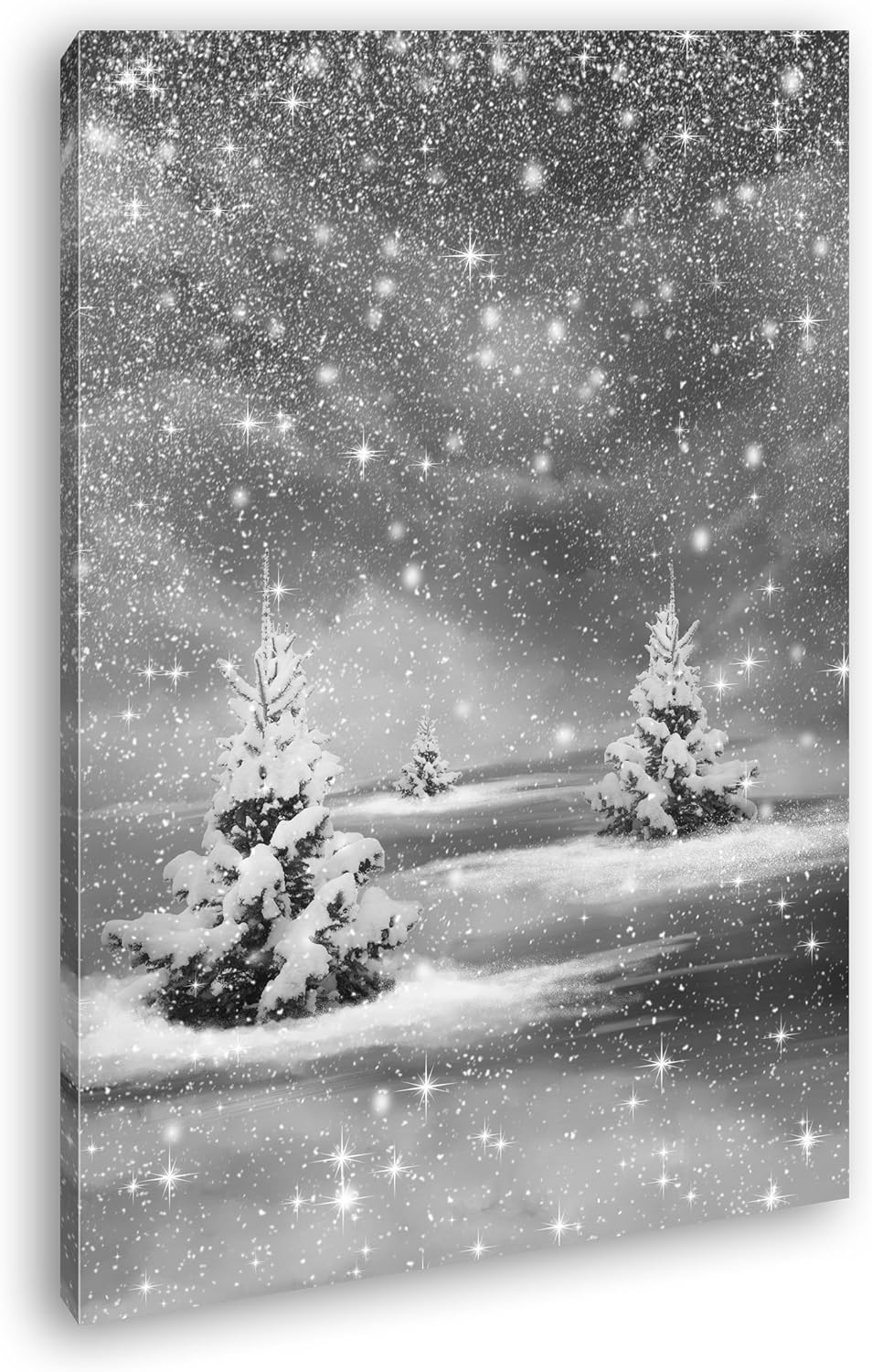 deyoli schneebedeckte Tannen Format: 80x60 Effekt: Schwarz/Weiss als Leinwand, Motiv fertig gerahmt