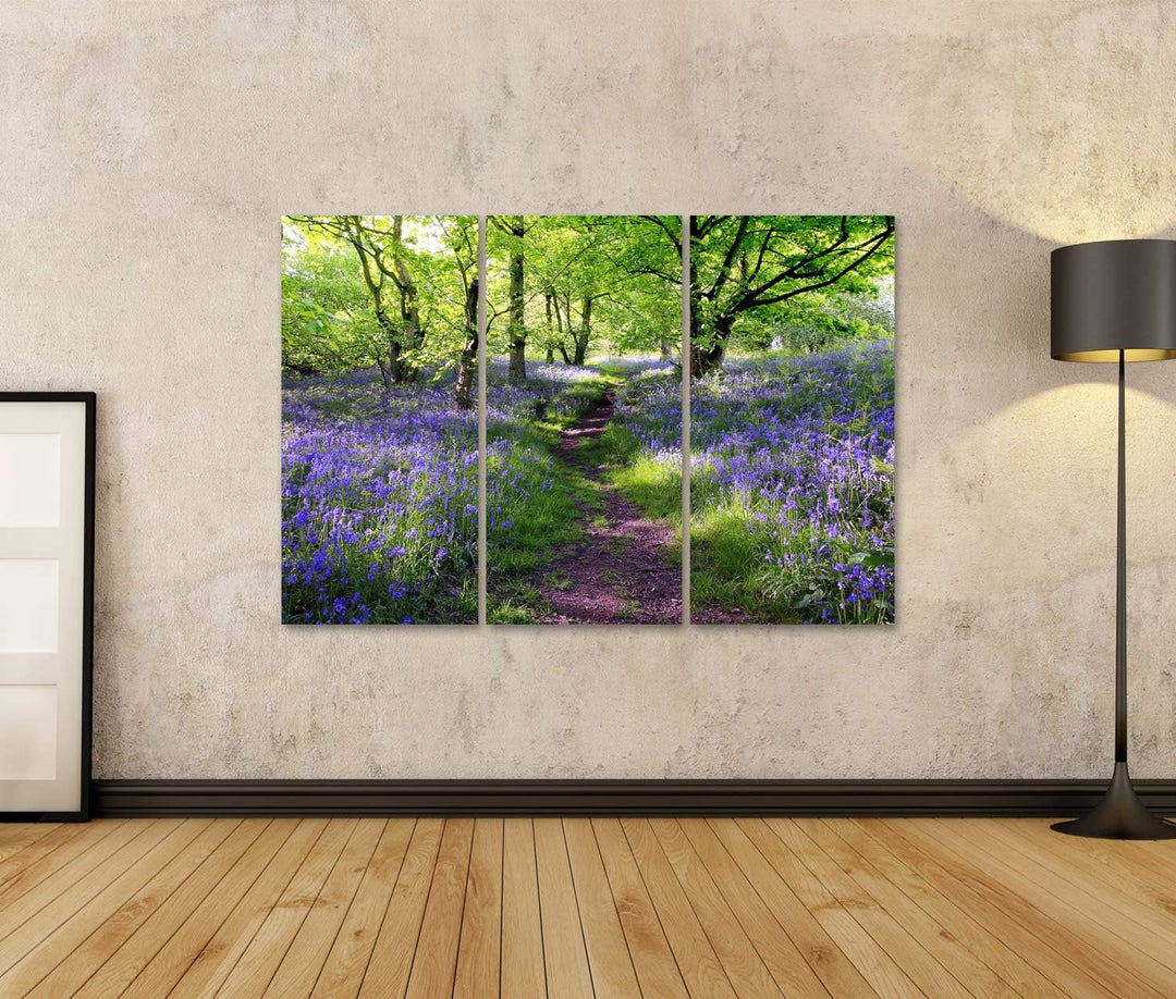 islandburner Bild auf Leinwand Blaue Glocken Gesamtstruktur In Schottland Wandbild Poster Kunstdruck