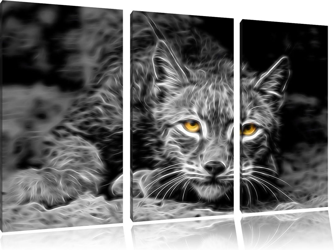 schöner wachsamer Luchs schwarz/weiss Deluxe 3-Teiler Leinwandbild 120x80 Bild auf Leinwand, XXL rie