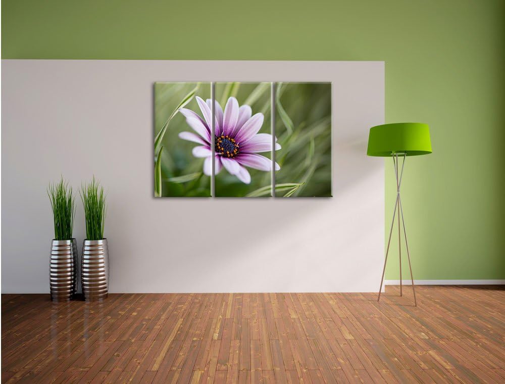 Pixxprint Blume in der Natur als Leinwandbild - Grösse: 3-Teilig (120x80cm) - Wandbild - Kunstdruck