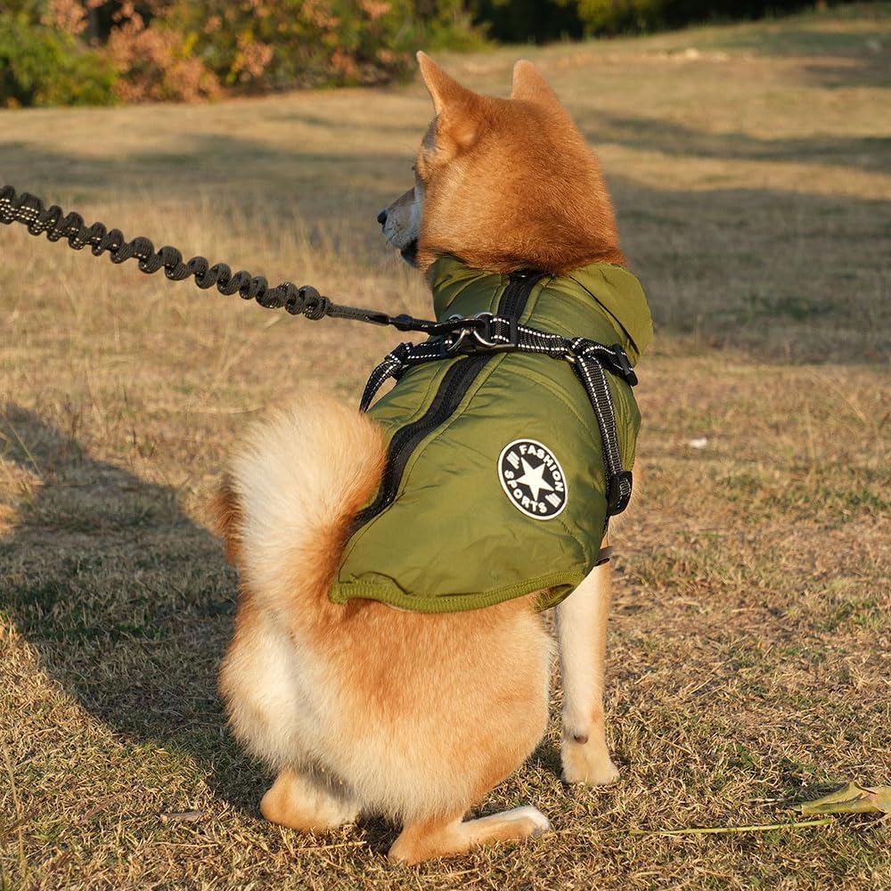 Hundejacke Winterweste Jacken, Hundemantel mit Geschirr für Kleine Hunde Hundemantel Wasserdicht Mas
