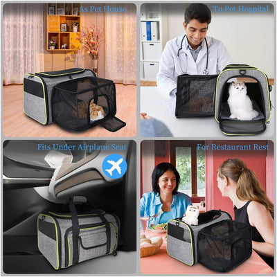 TAMOWA Transportbox Katze Transportbox Hund Faltbare Hundetragetasche, Faltbare Katzentragetasche mi