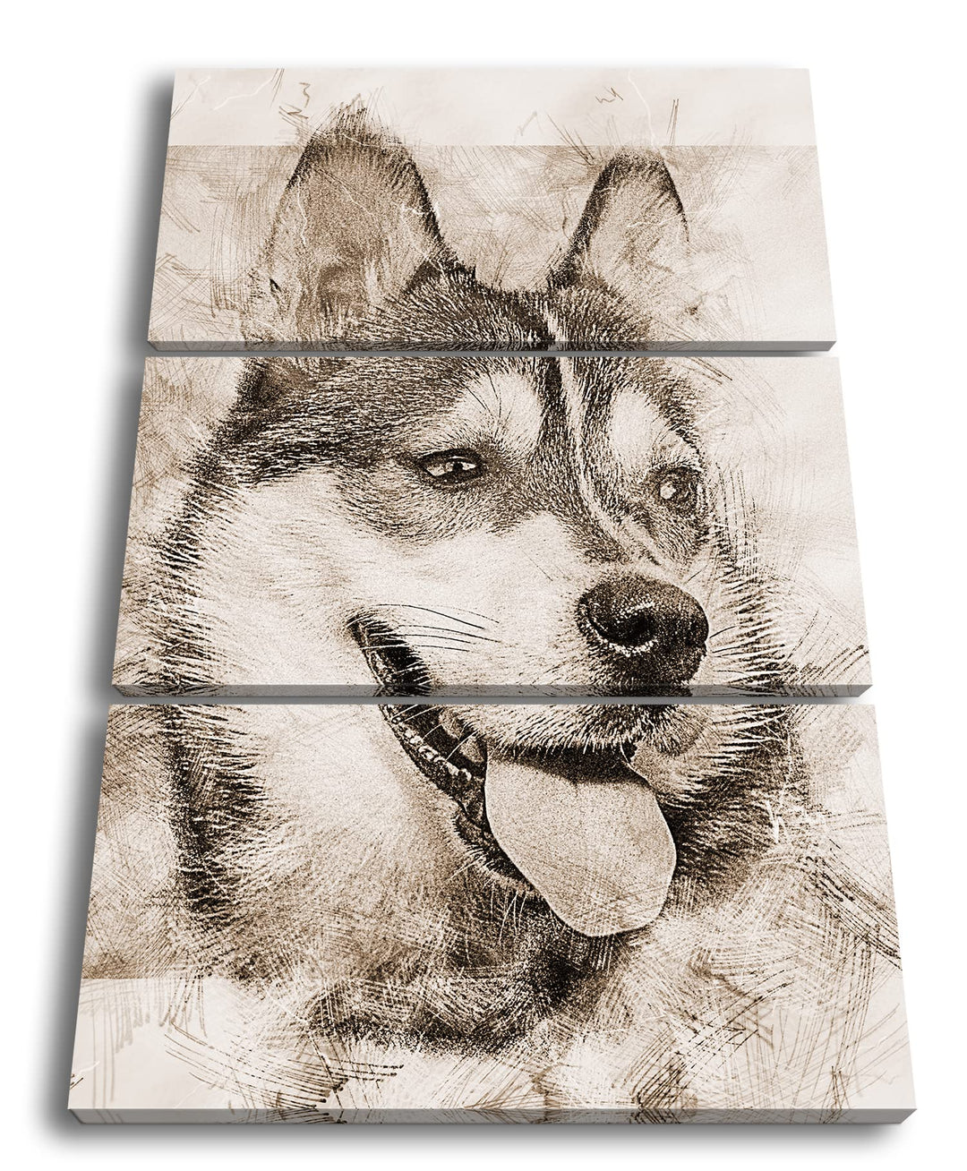 deyoli friedlicher Hund Effekt: Sepia Format: 3Teilig als Leinwandbild, Motiv fertig gerahmt auf Ech