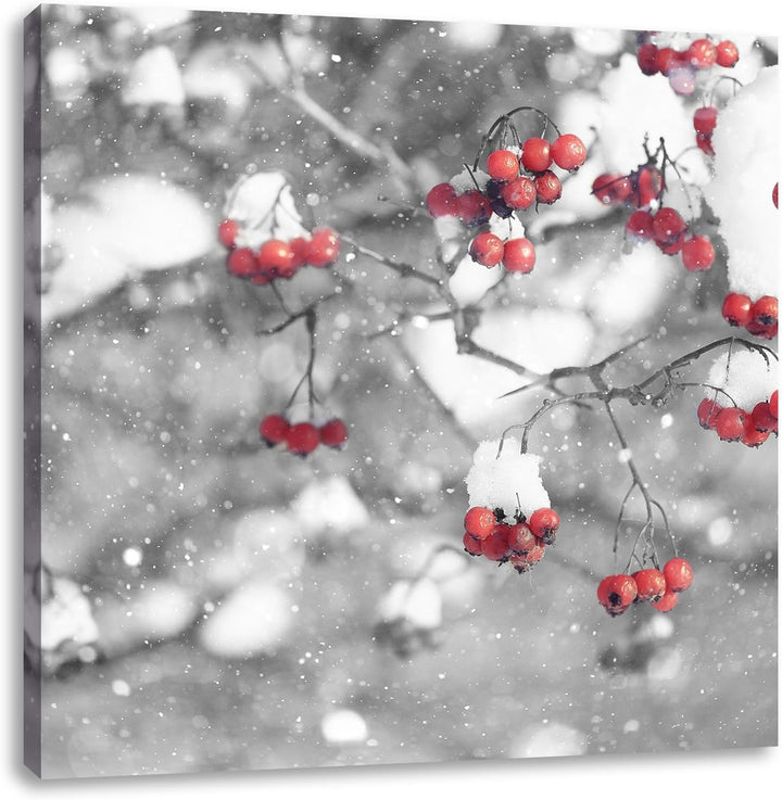 Pixxprint Vogelbeeren mit Schnee bedeckt als Leinwandbild Quadratisch/Grösse: 70x70 / Wandbild/Kunst