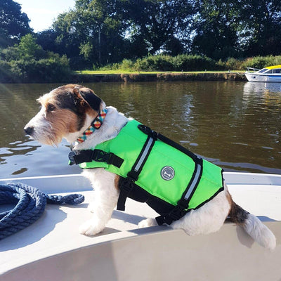 VIVAGLORY Ripstop Hunde Rettungsweste für Kleine Mittel Grosse Hunde Bootfahren, Hund Schwimmweste m