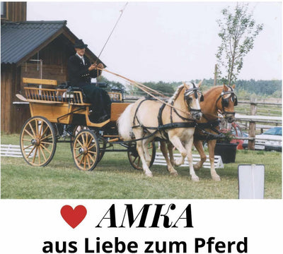 AMKA Bogenpeitsche Fahrpeitsche 100 cm für Horsemanship Bodenarbeit Fahrsport Diverse Farben gummier