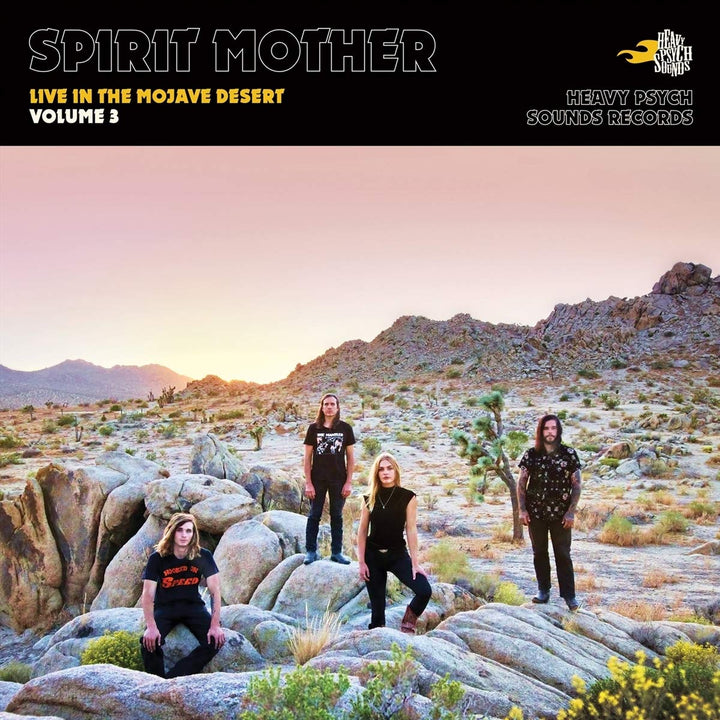 (Pink) Live in the Mojave Desert, Vol. 3, Vinyl