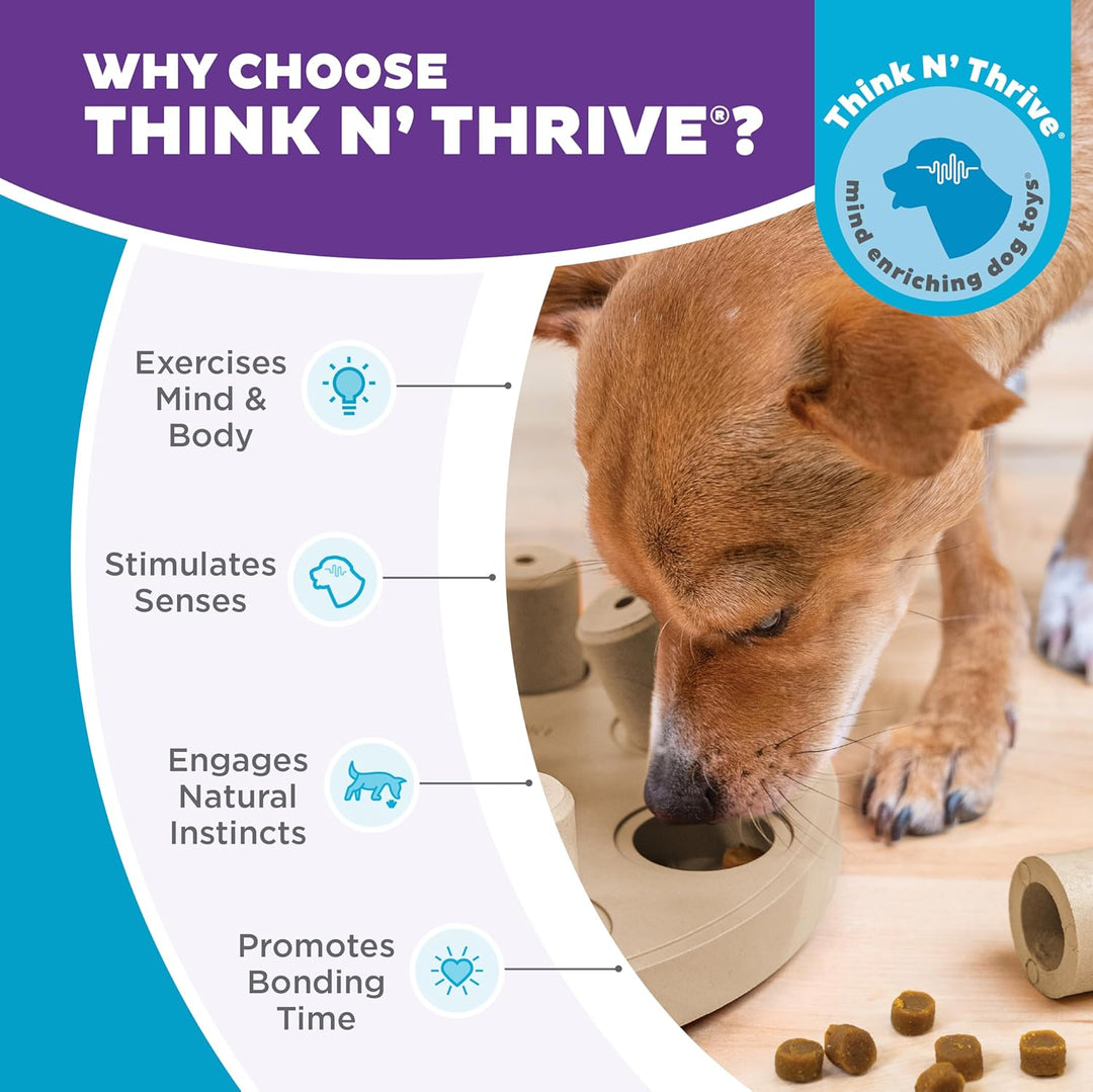 Outward Hound Nina Ottosson Dog Smart Treat Puzzle Enrichment Toy, Level 1 Beginner, Tan, Composite,