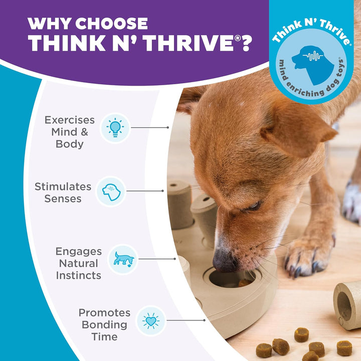 Outward Hound Nina Ottosson Dog Smart Treat Puzzle Enrichment Toy, Level 1 Beginner, Tan, Composite,
