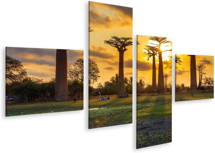 islandburner Bild auf Leinwand Schöne Baobab Bäumen Bei Sonnenuntergang In Der Allee Der Baobabs In