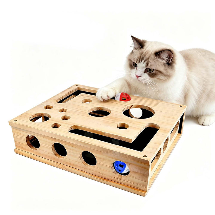 Katzenkratzpuzzle Anreicherungsbox, Katzen Kratzbrett, 30X25CM Holz Katze Nagelfeile Kratzanreicheru